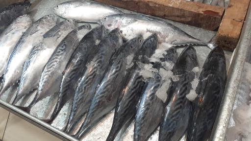 عکس مرکز خرید شهرما