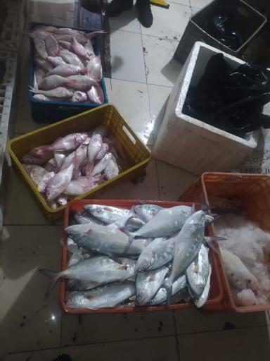 عکس مرکز خرید شهرما