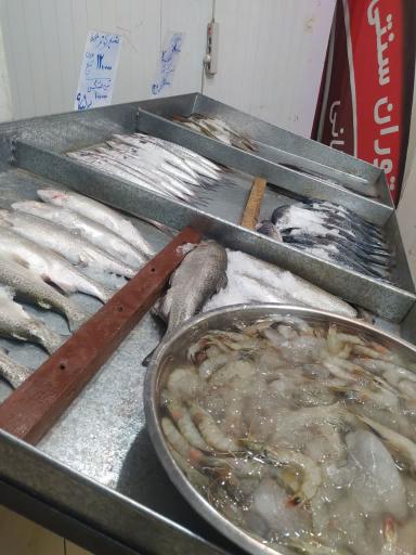 عکس مرکز خرید شهرما