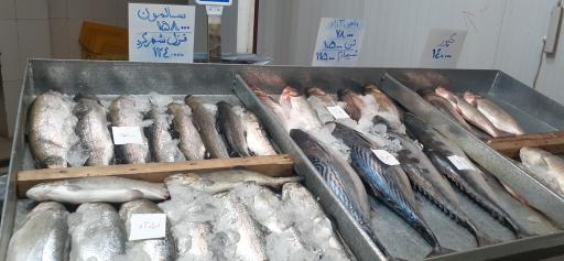 عکس مرکز خرید شهرما