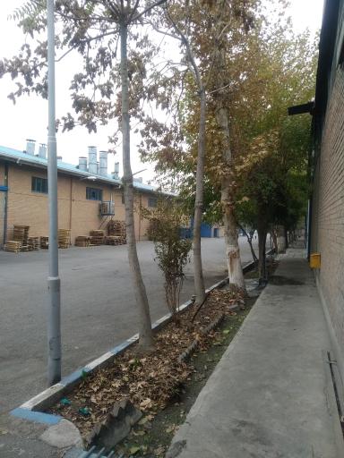 عکس شرکت تولیدی گلشید