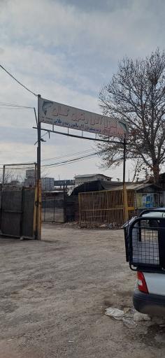 قزل آلای رنگین کمان