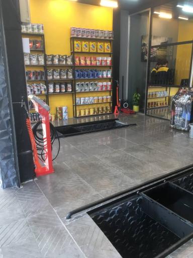 عکس اتوسرویس استاد