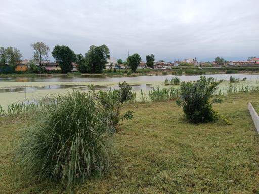 عکس تالاب عینک