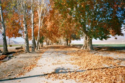 عکس تفرجگاه امیریه