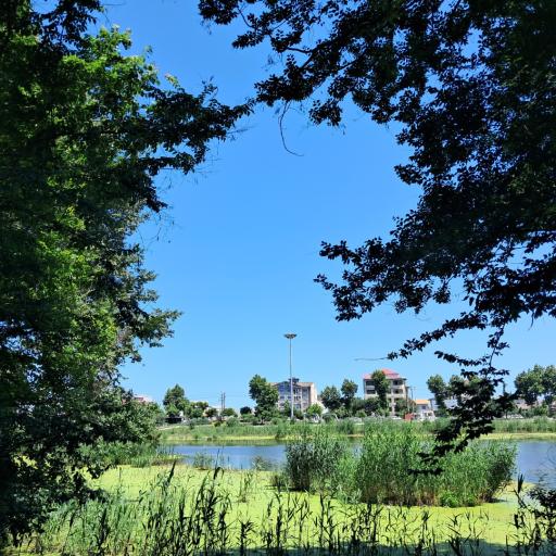 عکس تالاب عینک