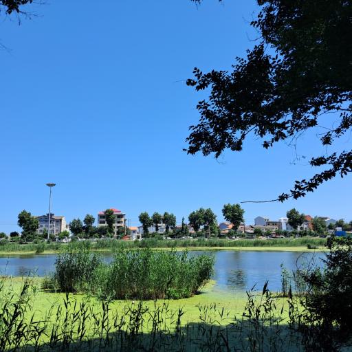 عکس تالاب عینک