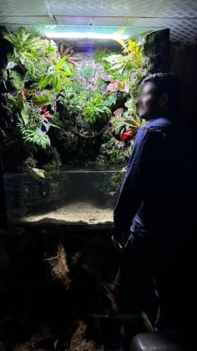 شرکت طبیعت مدرن 