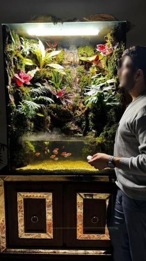 شرکت طبیعت مدرن 