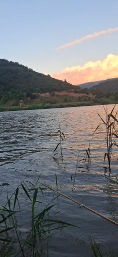عکس رودخانه