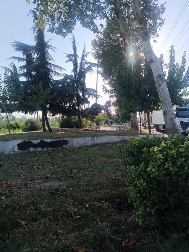عکس تالاب عینک