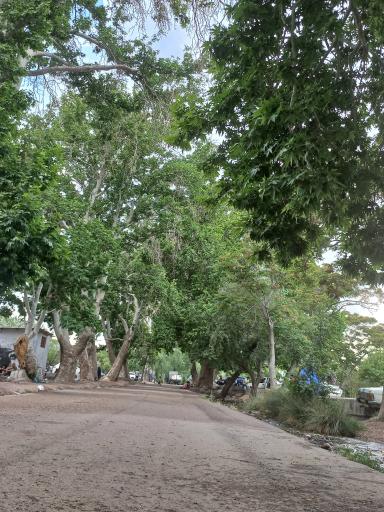 عکس تفرجگاه امیریه