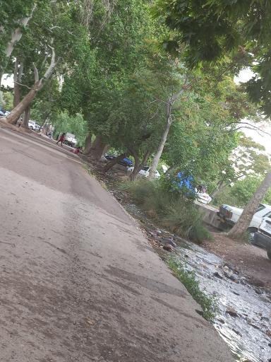 عکس تفرجگاه امیریه