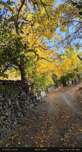 عکس اقامتگاه بومگردی بالا ده