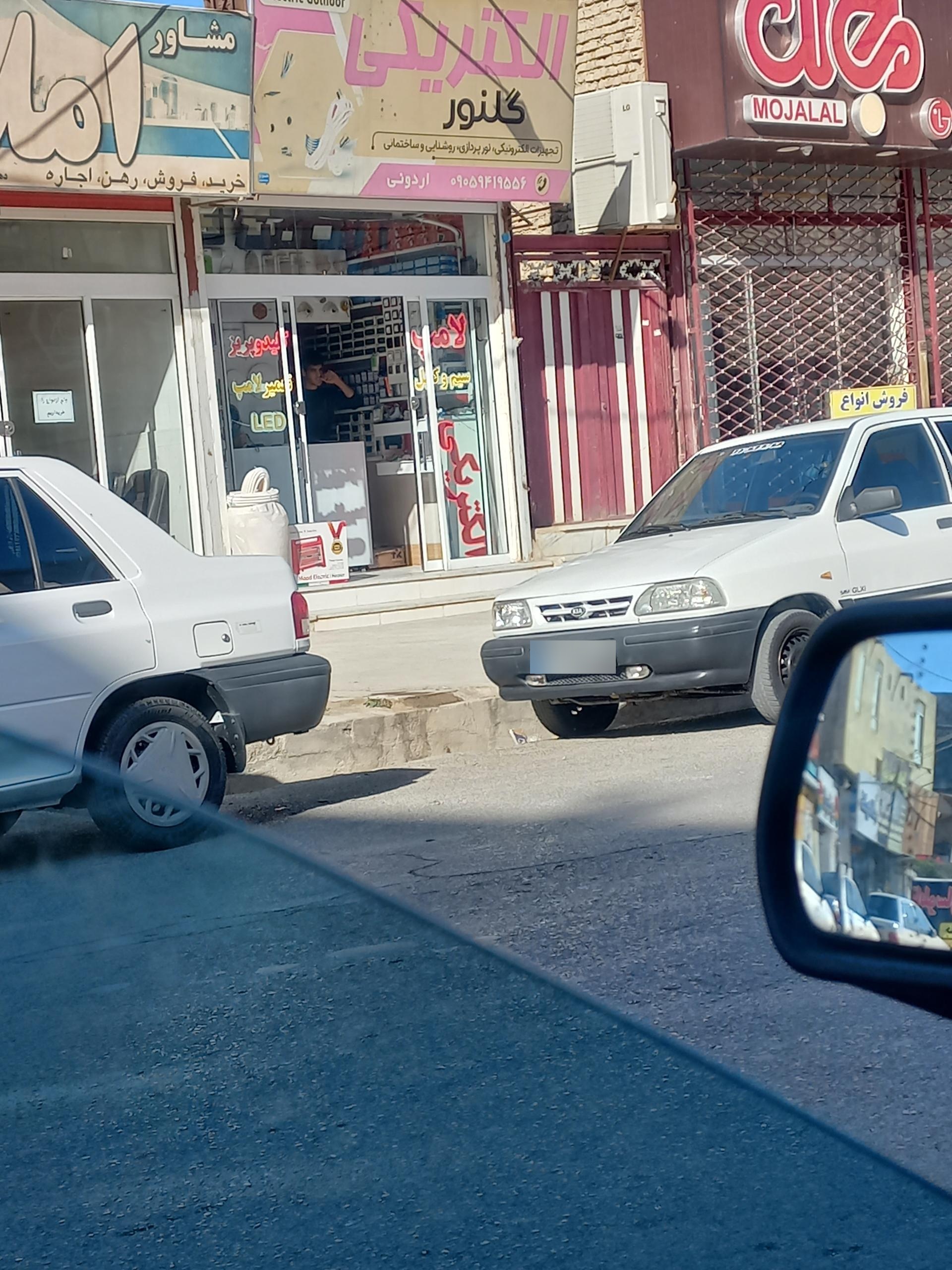 عکس الکتریکی گلنور