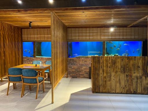 عکس فست فود آکواریوم
