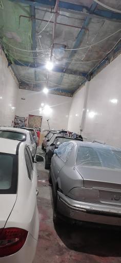 عکس دیتیلینگ و نقاشی پرشین