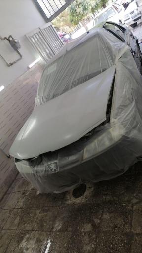 عکس دیتیلینگ و نقاشی پرشین