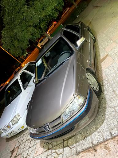 عکس دیتیلینگ و نقاشی پرشین