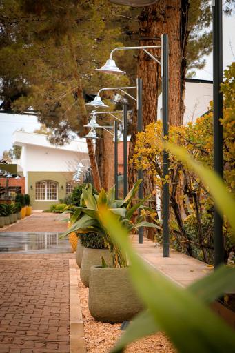 عکس باغ مان میثم خان