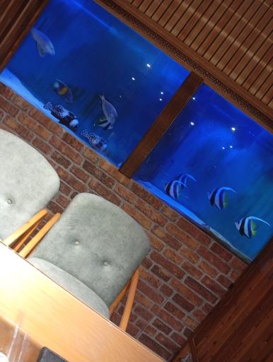 عکس فست فود آکواریوم