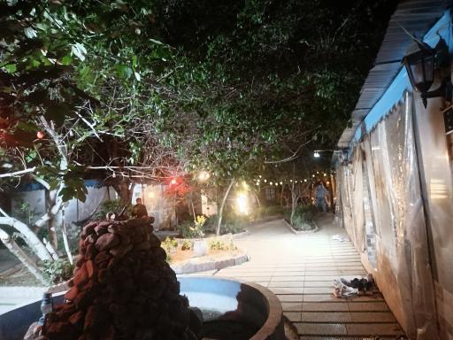 عکس باغچه رستوران ترنج