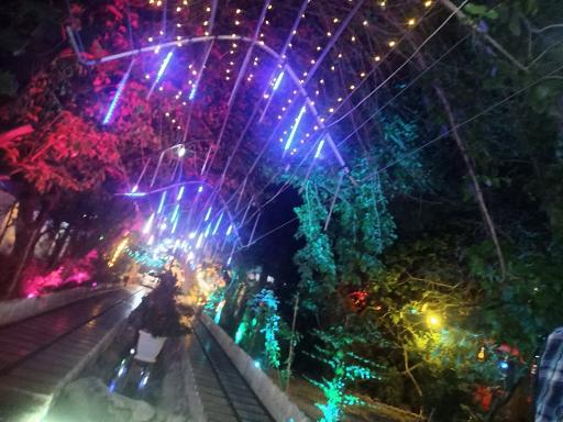 عکس باغچه رستوران ترنج