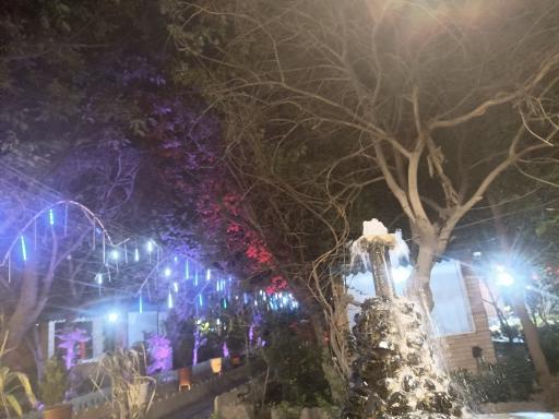 عکس باغچه رستوران ترنج