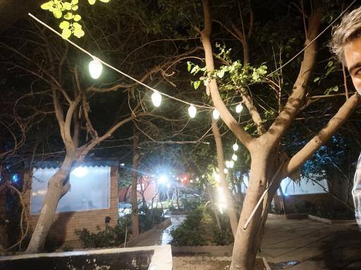 عکس باغچه رستوران ترنج