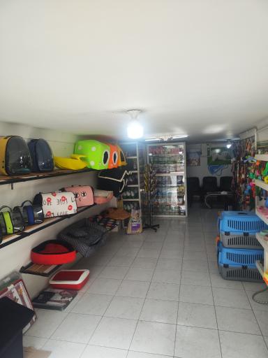 عکس کلینیک تخصصی حیوانات خانگی رویال