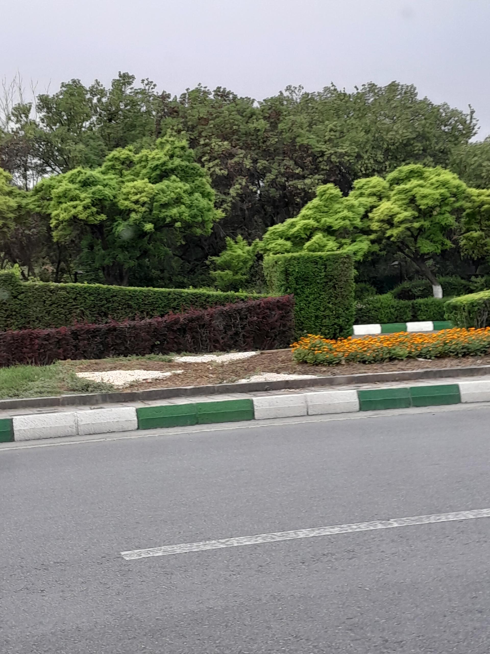 عکس پیست پارک 