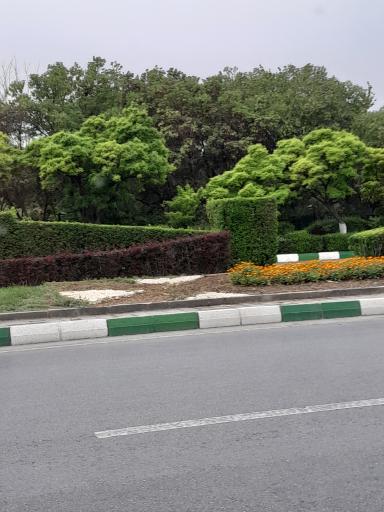 عکس پیست پارک 