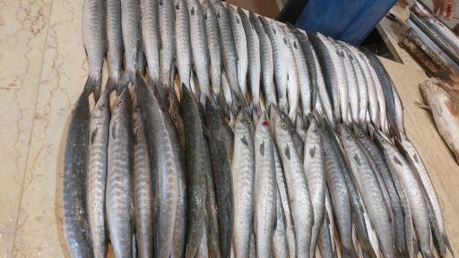 عکس بازار ماهی فروشان