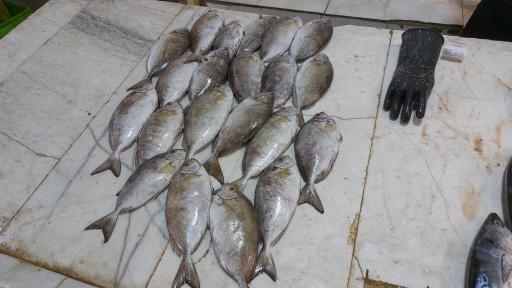 عکس بازار ماهی فروشان