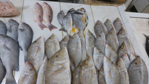 عکس بازار ماهی فروشان