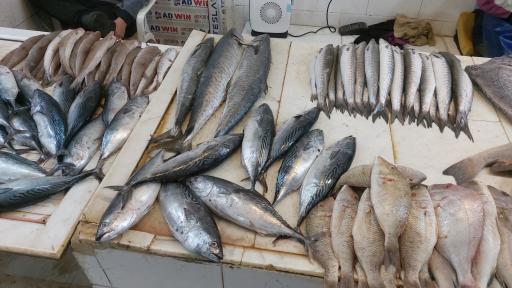 بازار ماهی فروشان