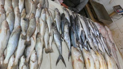 عکس بازار ماهی فروشان