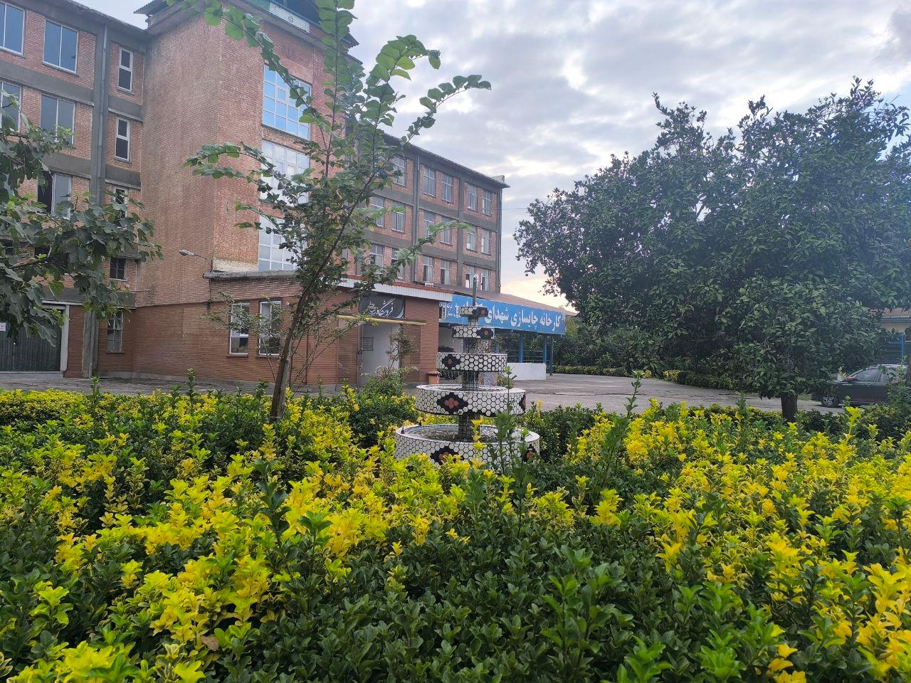 عکس کارخانه چایسازی شهدای کومله 