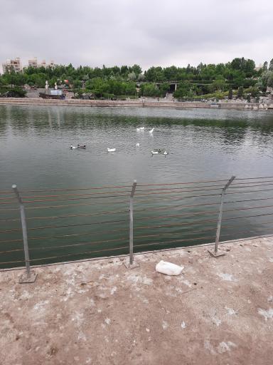 عکس بوستان رود پارک (چهل بازه)