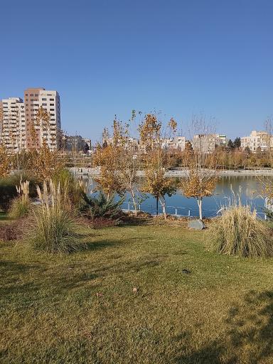 عکس بوستان رود پارک (چهل بازه)