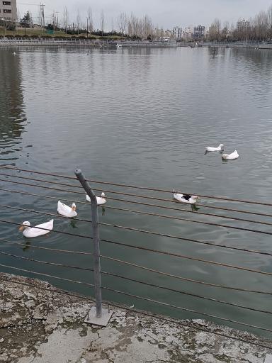 عکس بوستان رود پارک (چهل بازه)