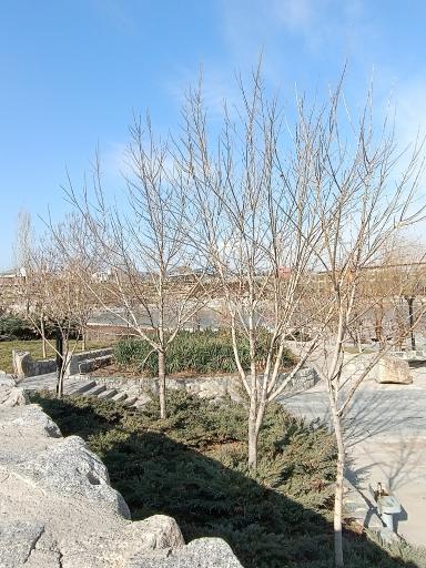 عکس بوستان رود پارک (چهل بازه)