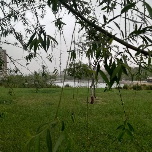 عکس بوستان رود پارک (چهل بازه)