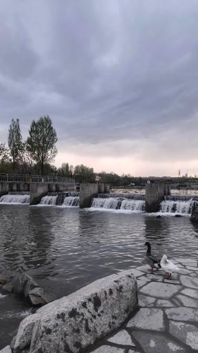 عکس بوستان رود پارک (چهل بازه)