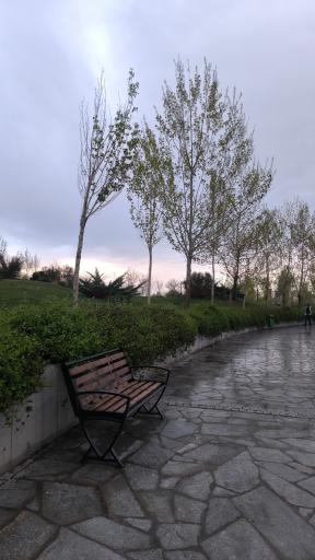 عکس بوستان رود پارک (چهل بازه)