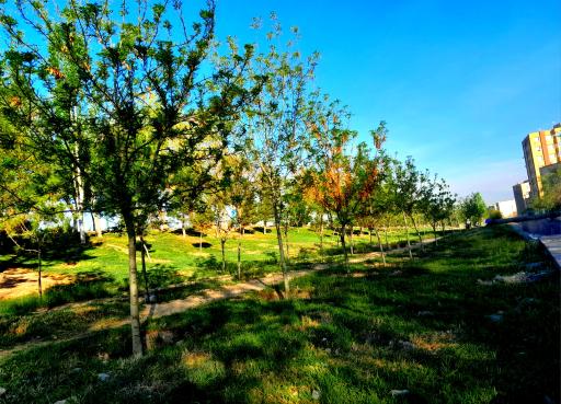 عکس پارک طولی