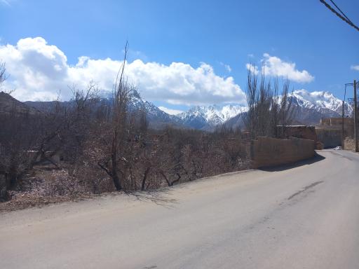 عکس ریک