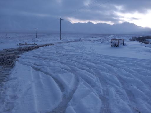 عکس ریک