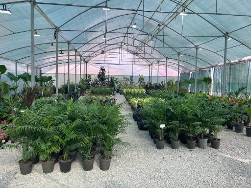 عکس گلکده الغدیر