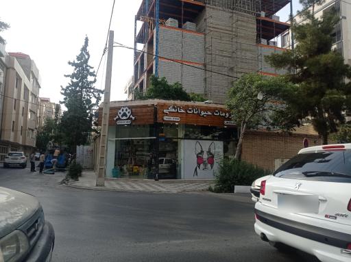 پت شاپ گرین